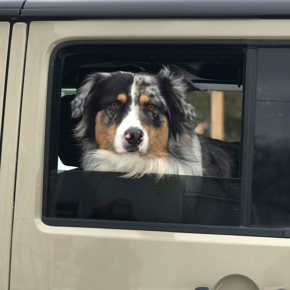 Meet your Posher, Kristine